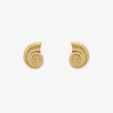 Seashell Stud Earrings