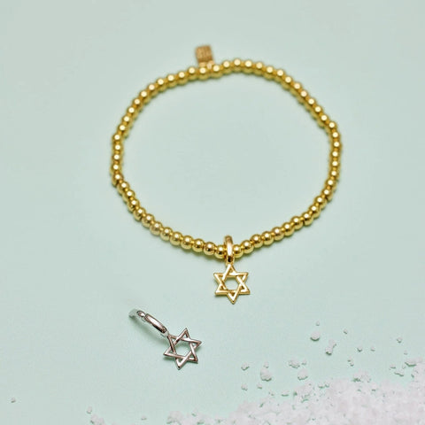 Harper Star of David Charm