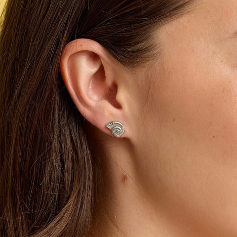 Seashell Stud Earrings