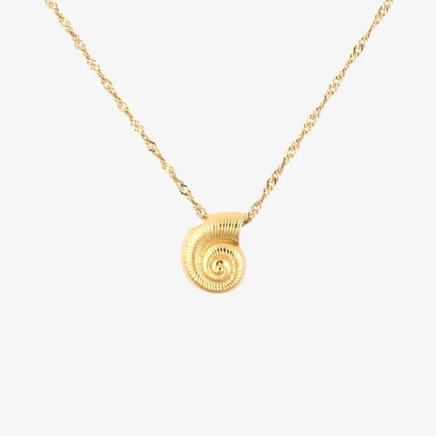 Seashell Pendant Necklace