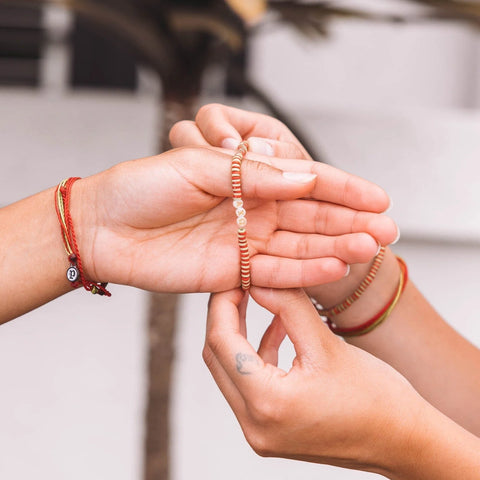 Alpha Chi Omega Collection